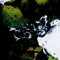 �Ann Pollard (detail)