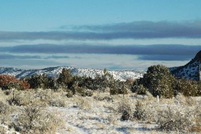 Light Dusting Bob Dubin