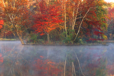 Foggy Autumn Morning David Lewis Photography