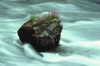 Rock and the River Flowing David Lewis Photography