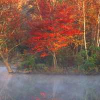 Foggy Autumn Morning (detail)  David Lewis Photography