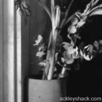 arl's vase - detail - ©elena s. ackley