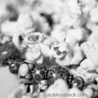 popcorn - detail - elena s. ackley