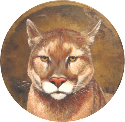 Mountain Lion Drum Joan M. Hellquist