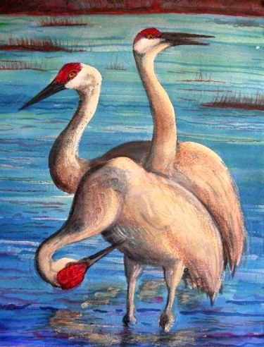 �Judith Roderick Sandhill Crane Trio