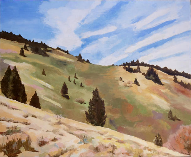 Sierra Blanca High Meadow Katherine Christie Wilson