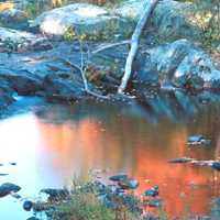 Placitas Artists - Stream with Autumn Leaves Lew Engle