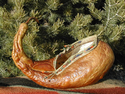 Swan Lake GourdeDuckling TM Lynne Kottel - Zia Gourds
