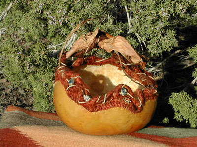Zephyr Lynne Kottel - Zia Gourds