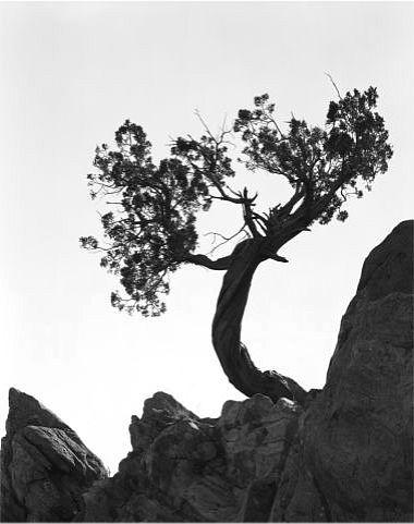 Vasquez Rocks �Tom Baker