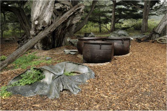 Whalers Cove �Tom Baker