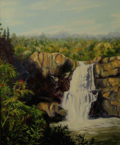 High Falls on the Pigeon River �Vicki Van Vynckt 
